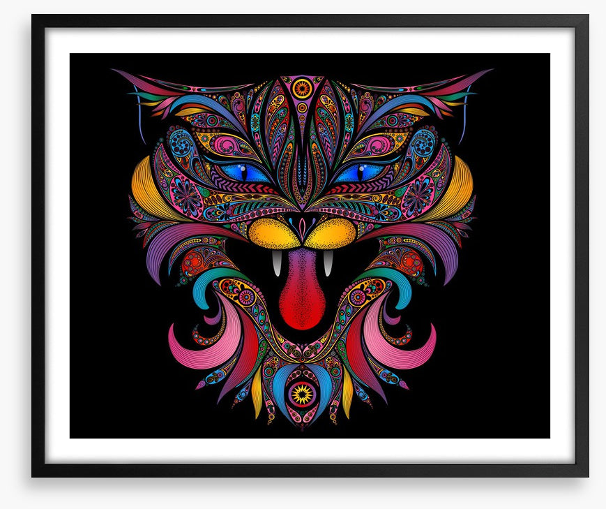 Mystic cat