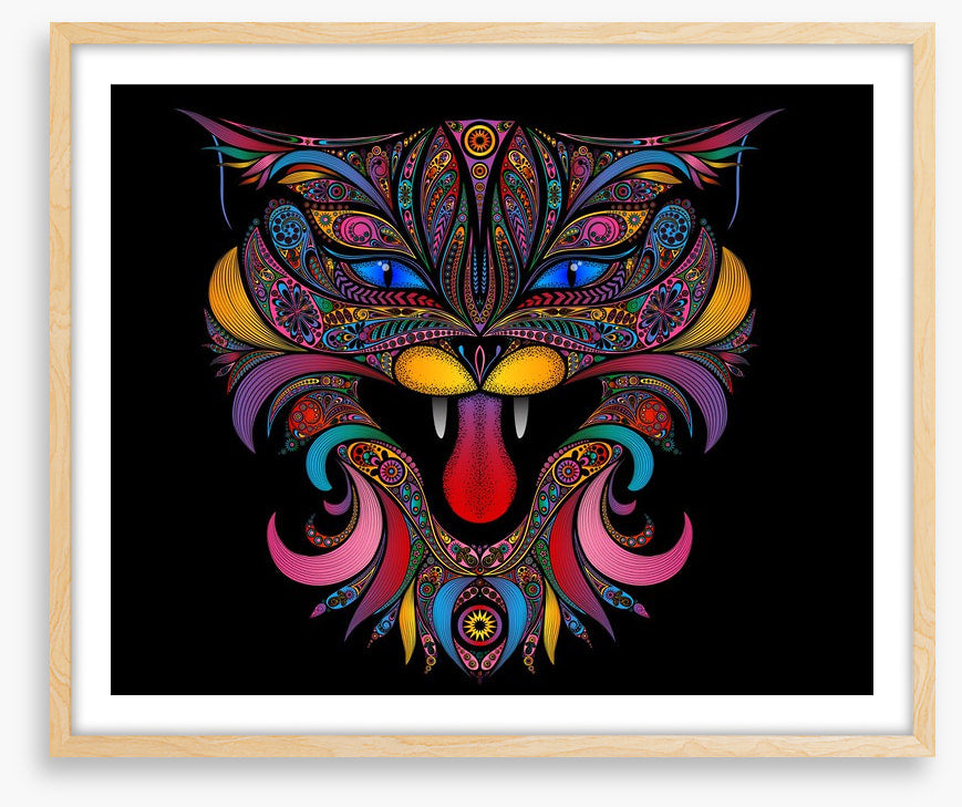 Mystic cat