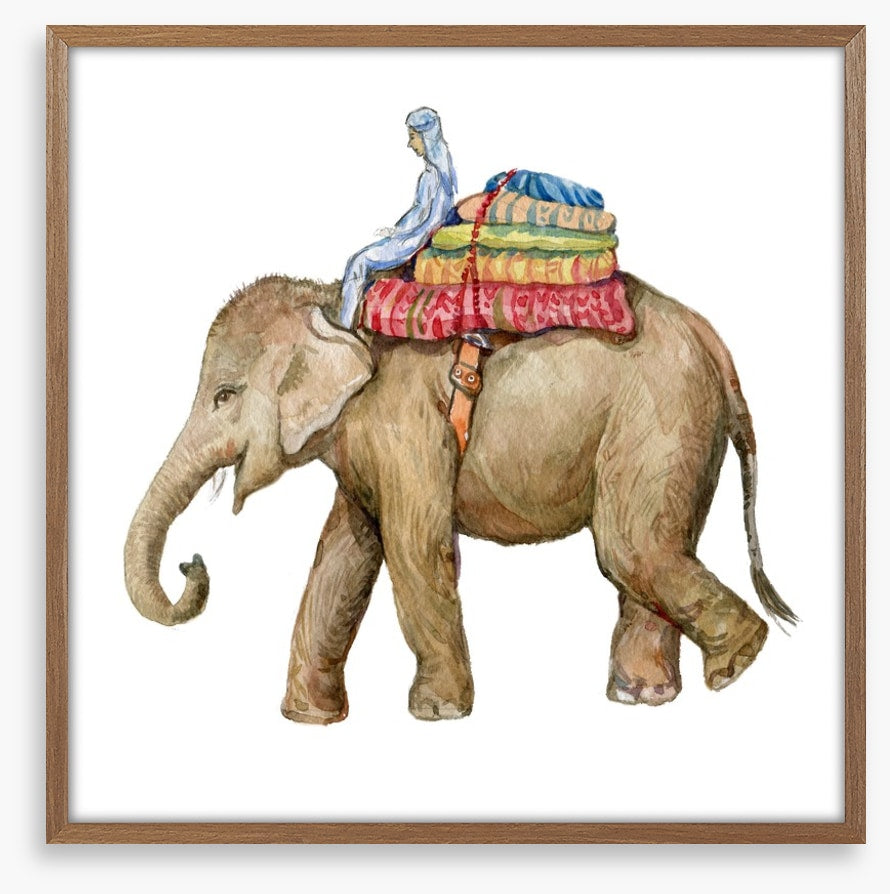 Elephants
