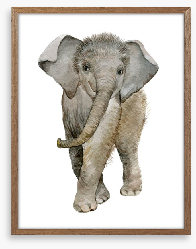 Elephant fuzz