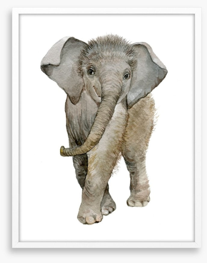 Elephant fuzz
