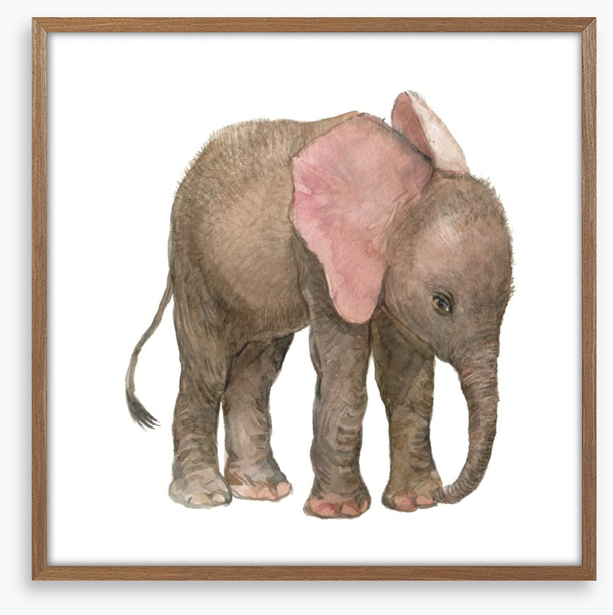 Elephants