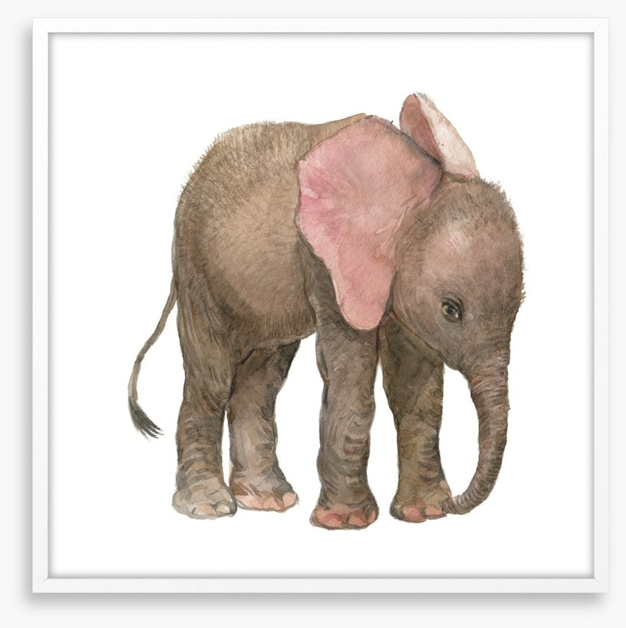 Elephants
