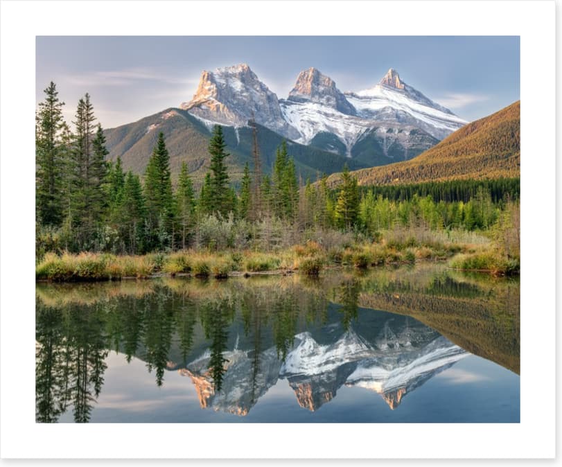 Sisterly reflections