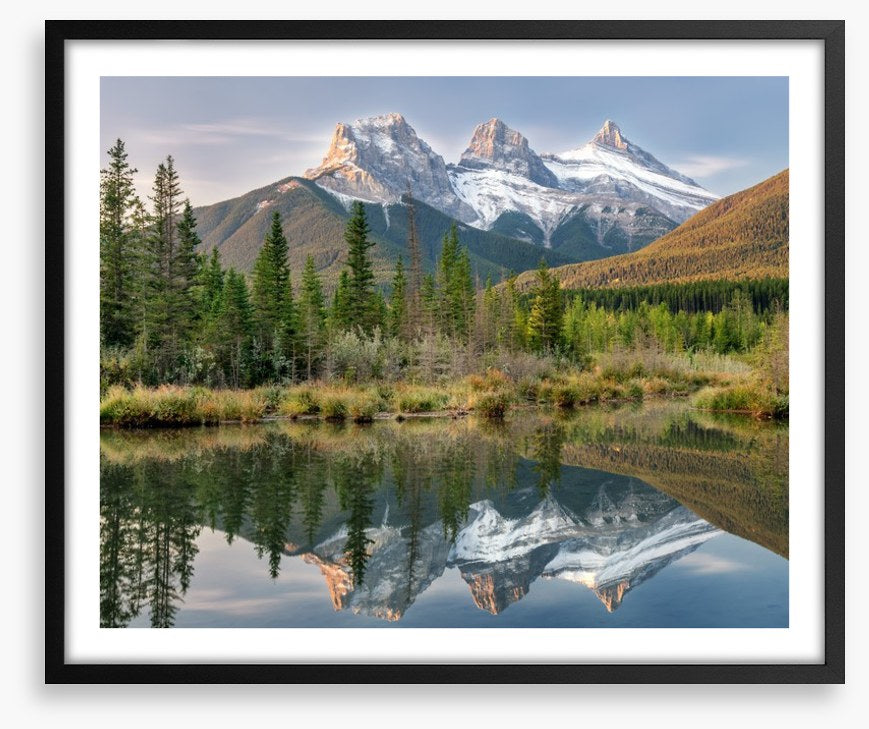 Sisterly reflections