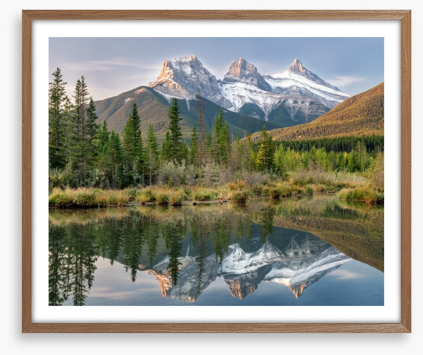 Sisterly reflections