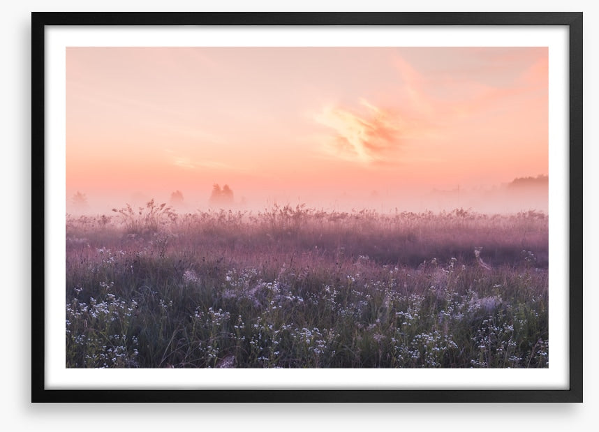 Good morning meadow
