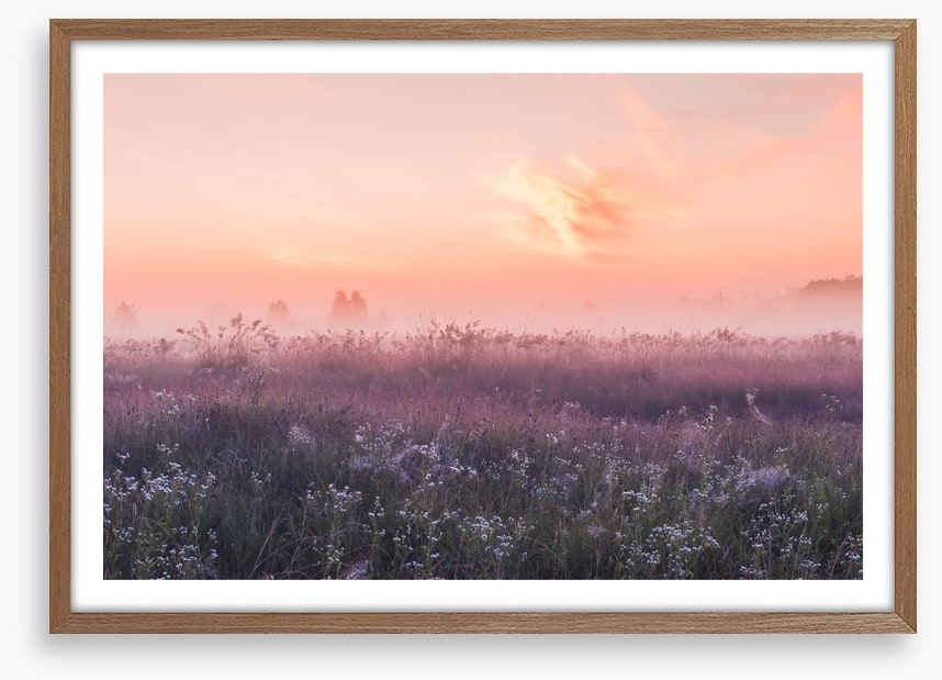 Good morning meadow