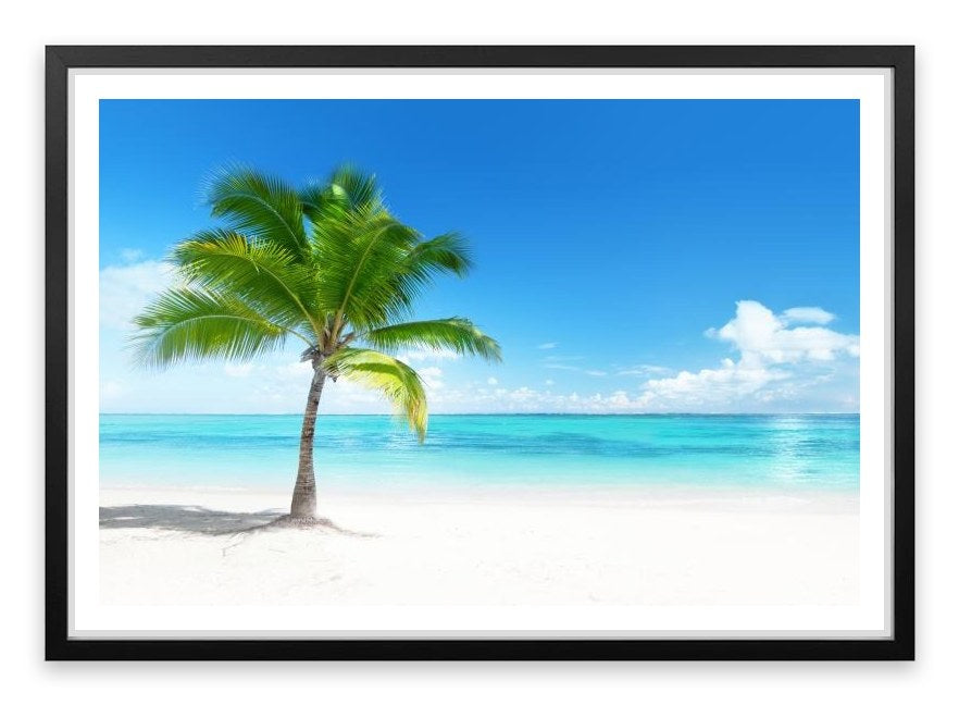 One palm beach