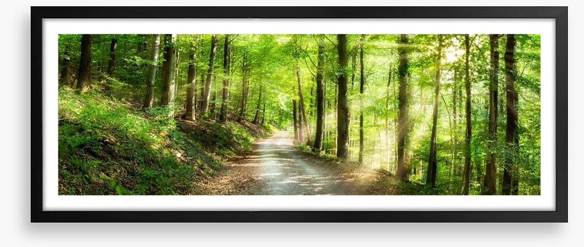 Sun ray road