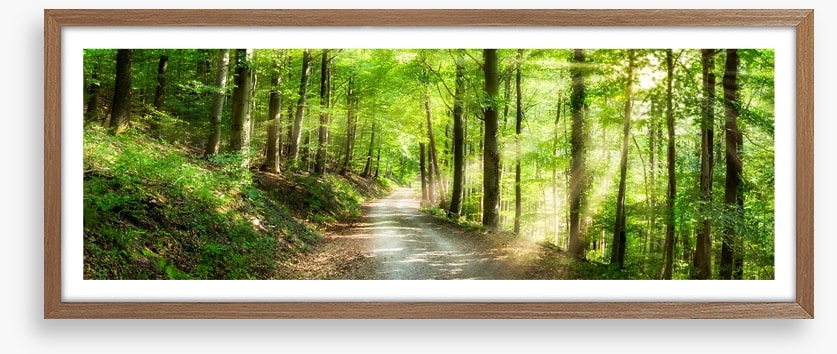 Sun ray road