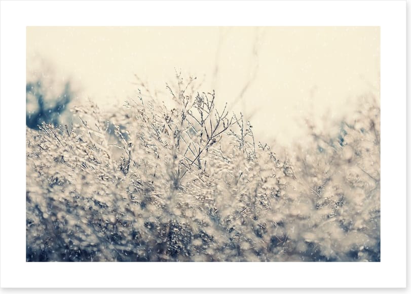 Touch of winter