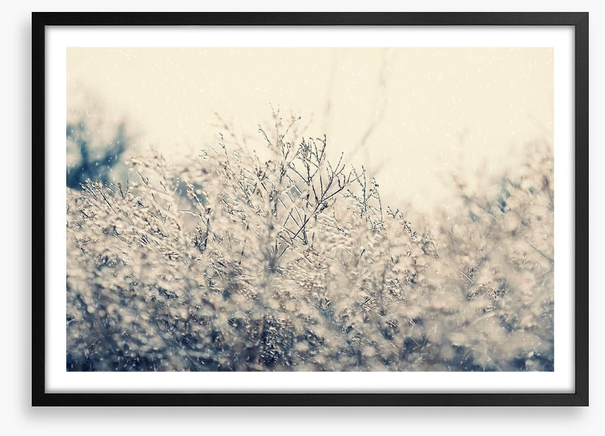 Touch of winter