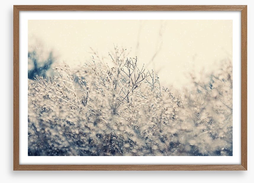 Touch of winter