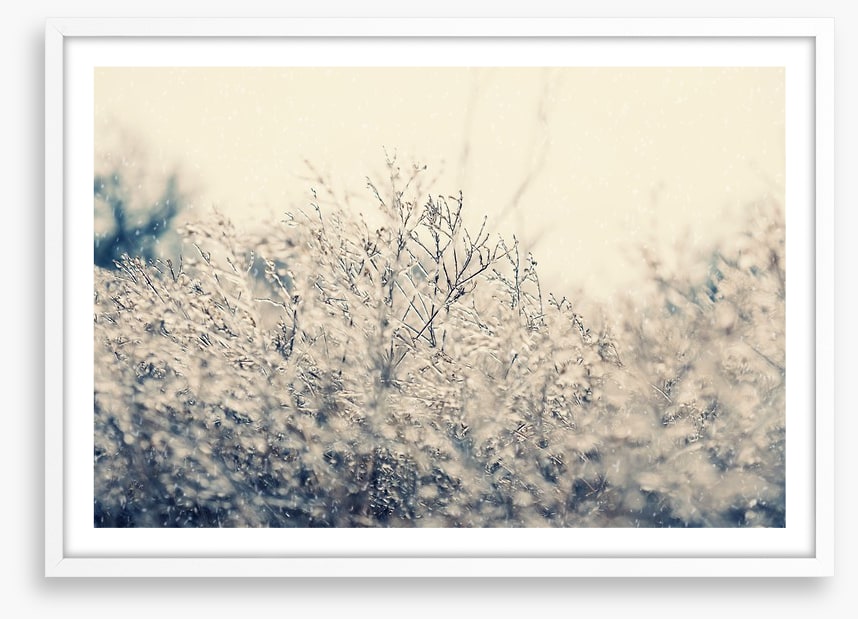 Touch of winter