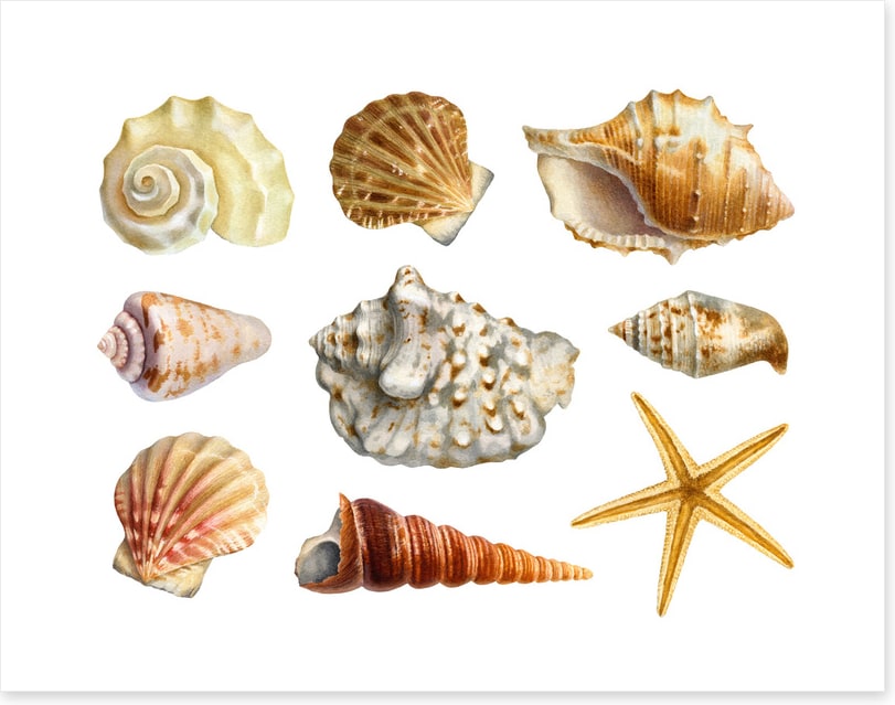 Of the sea
