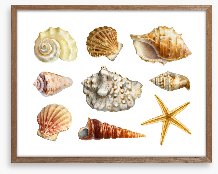 Of the sea