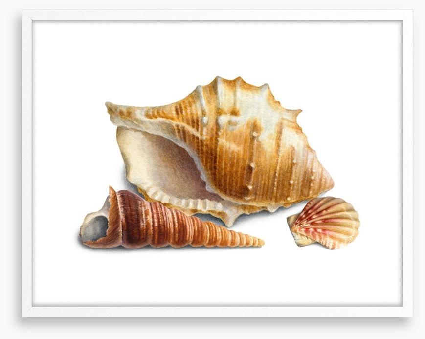 Three shells III