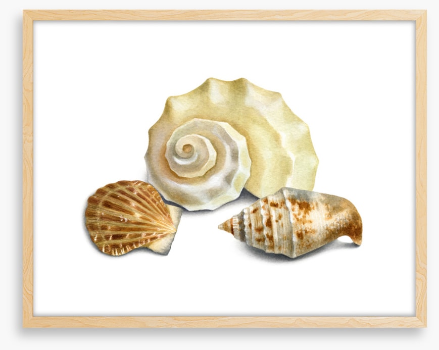 Three shells II