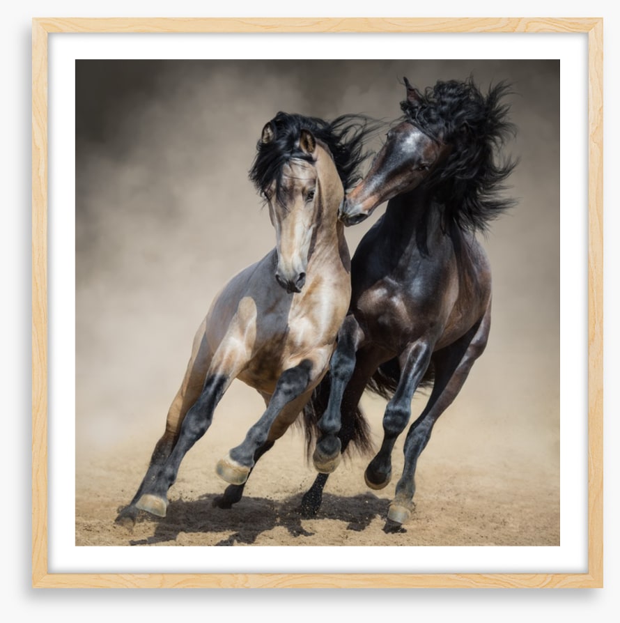 Horseplay