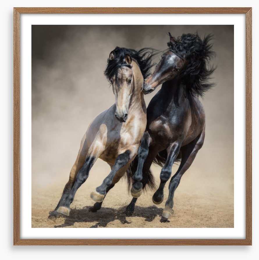 Horseplay