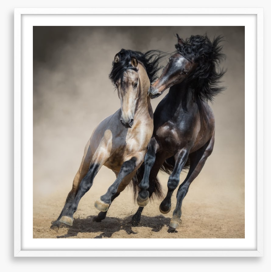 Horseplay