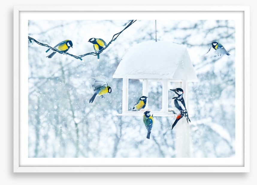 Feeding with friends