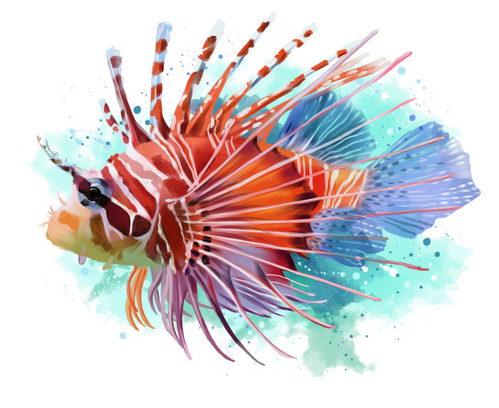 Lionfish splash