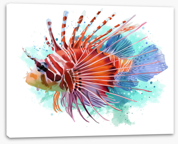 Lionfish splash