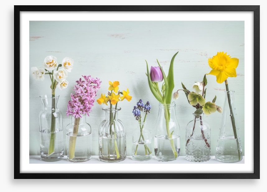 Seven days of spring