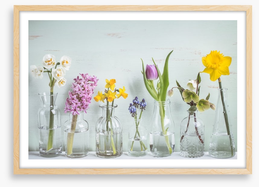Seven days of spring