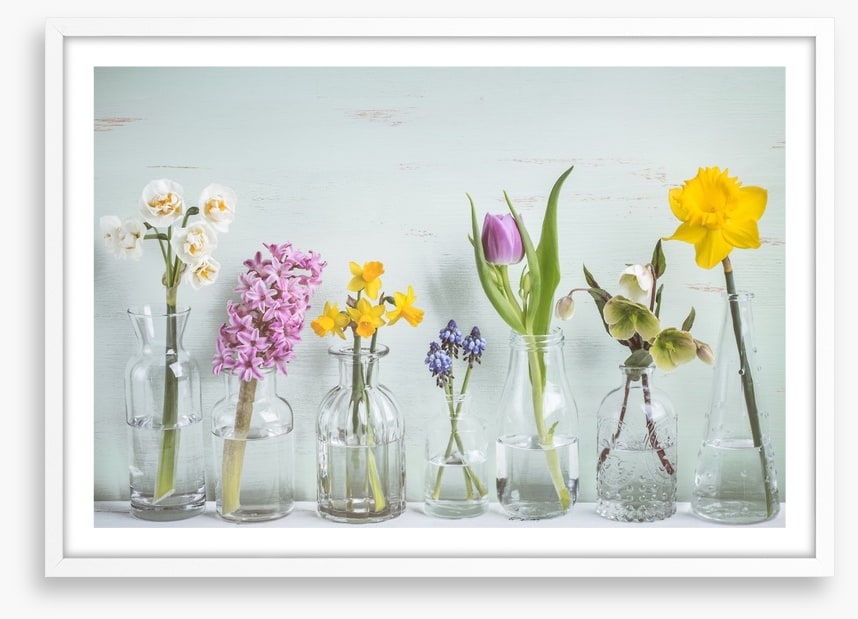 Seven days of spring