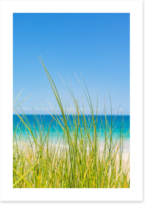 Past the beach grass