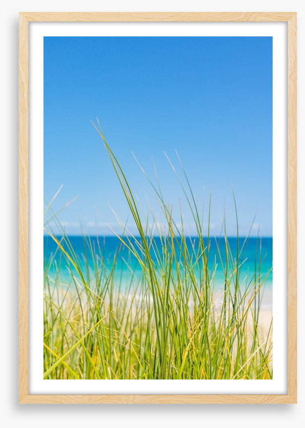 Past the beach grass