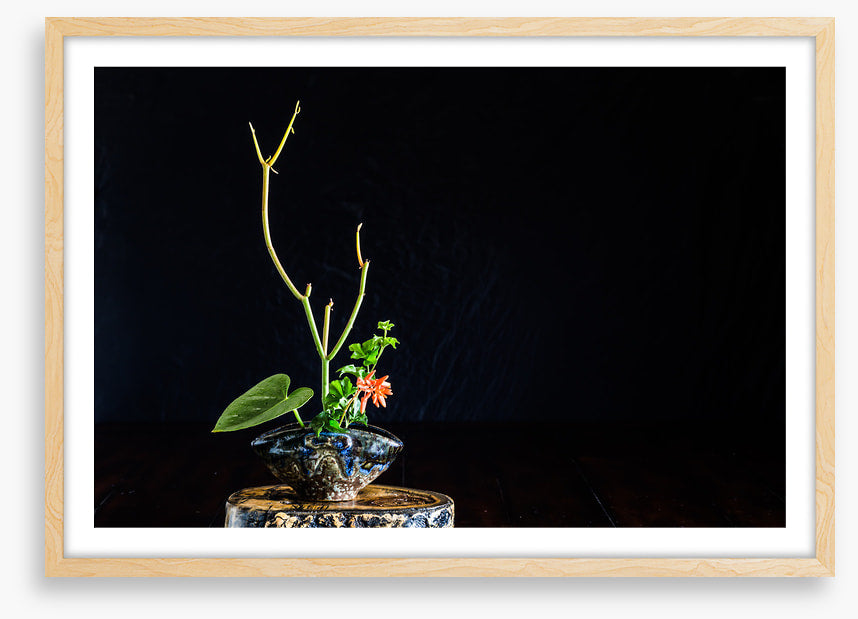 Moribana