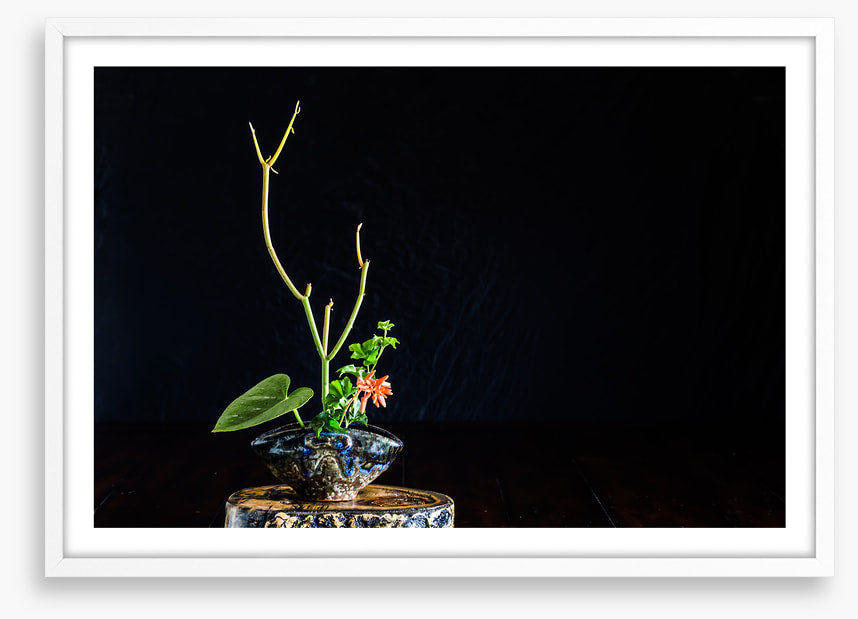 Moribana