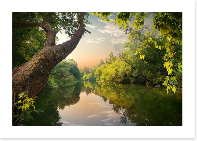 Mirror river evening