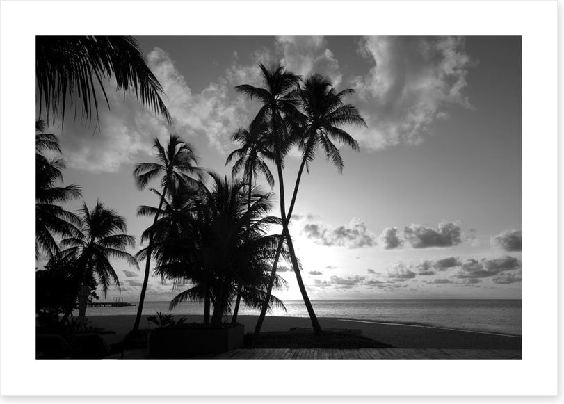 Silhouettes on the shore