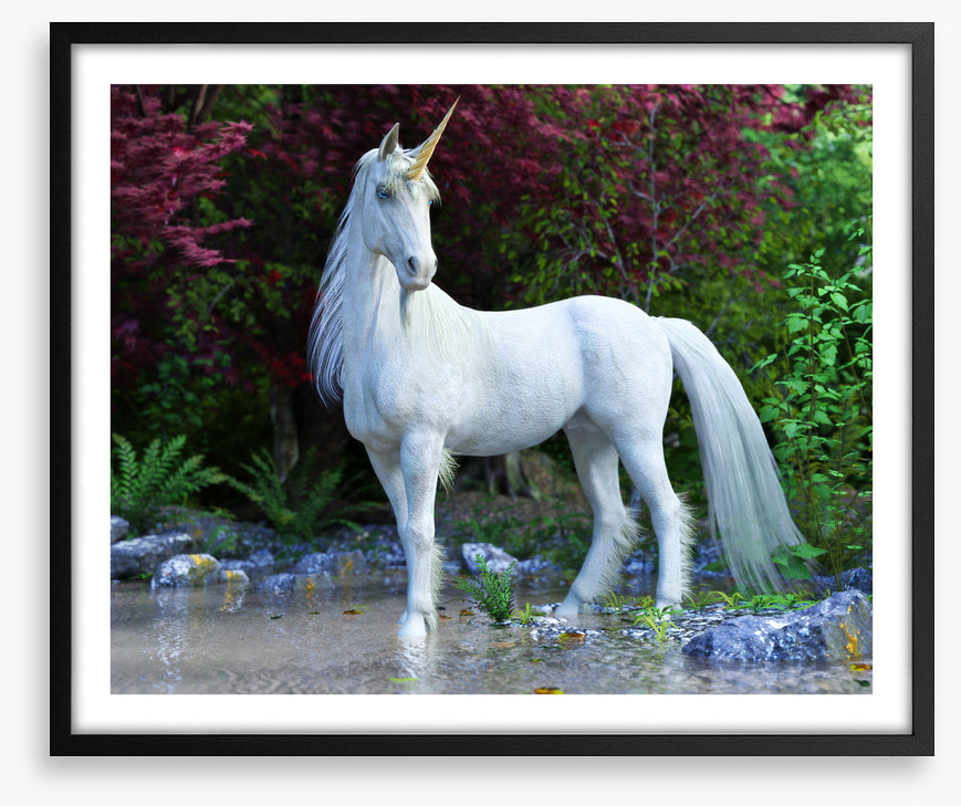 Unicorn of the glade