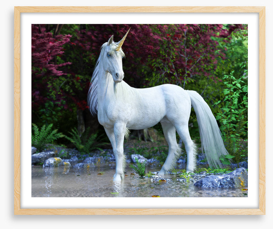 Unicorn of the glade