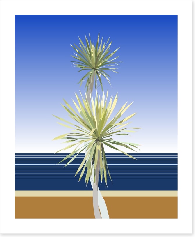 Dracaena duo