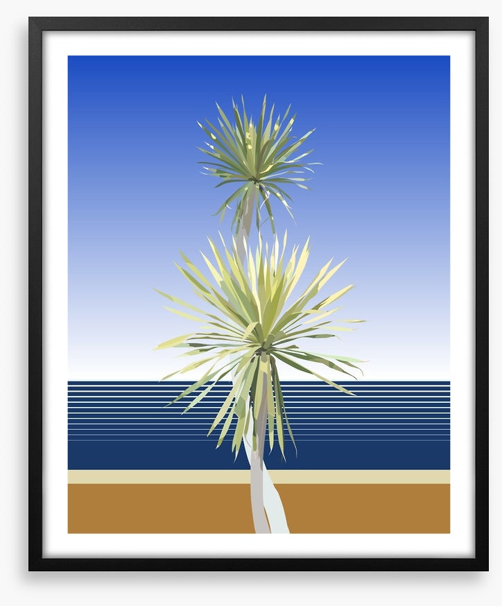 Dracaena duo