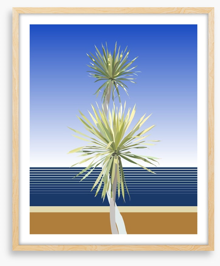 Dracaena duo