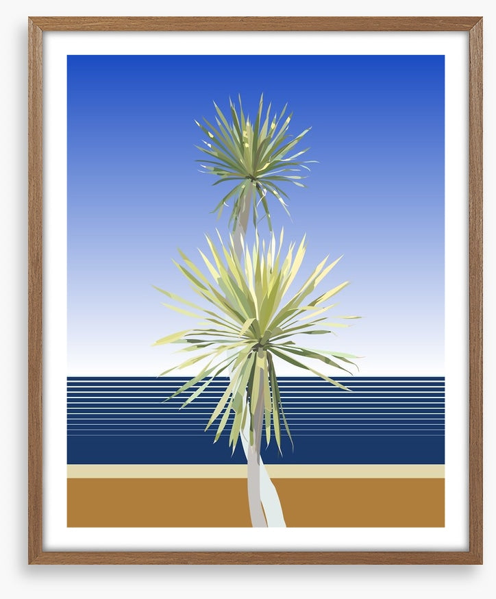 Dracaena duo