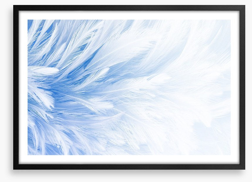 In fine feather