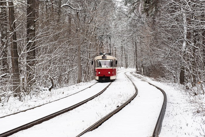 Snow forest tram