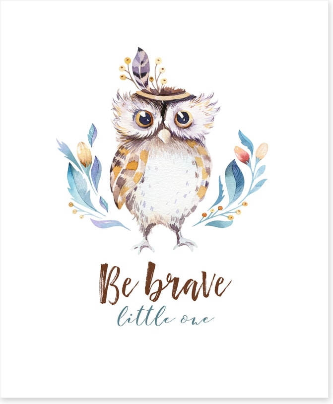 Owls