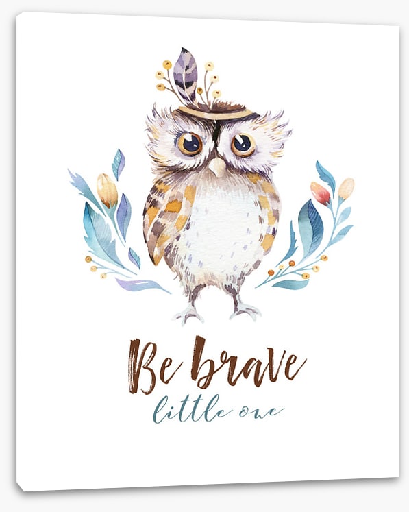 Owls