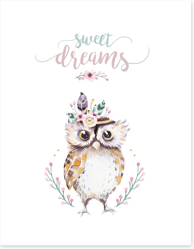 Sweet dreams owl