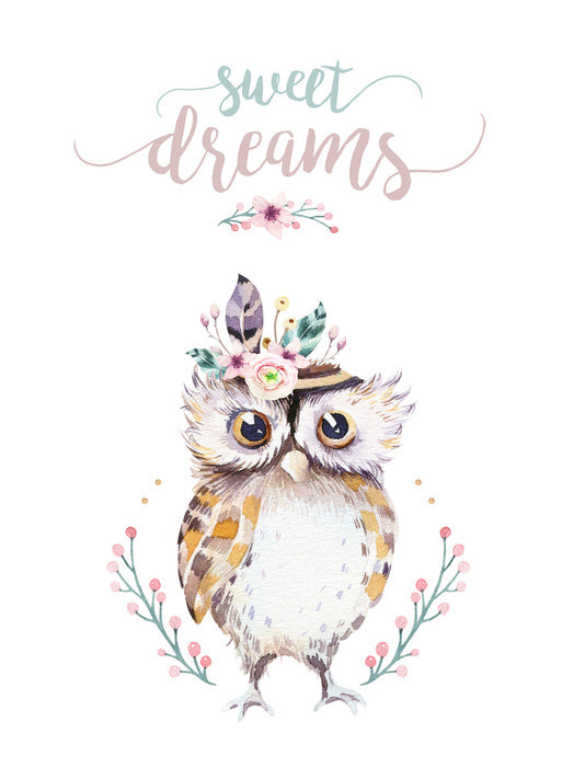 Sweet dreams owl